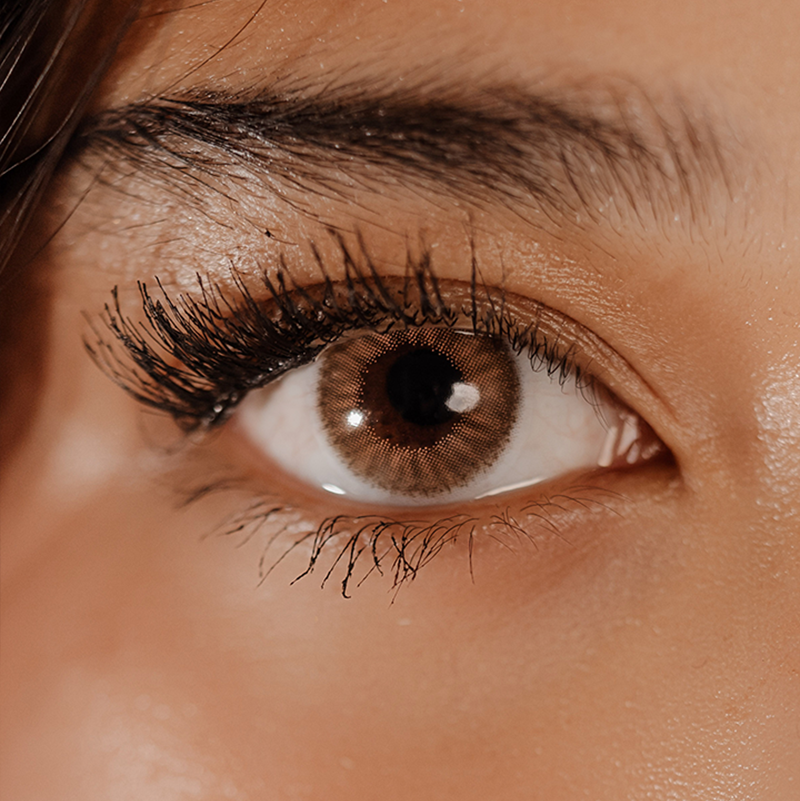 Maati Chroma OneDay - Champagne